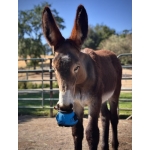 Cavallo Long Ear Hoof Boots - For Donkeys (PAIR)